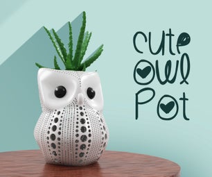Cute Owl Pot for Succulents