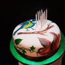 Hand Painted Bird Birthday Cake