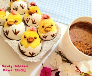 Newly Hatched Kawaii Chicks From Eggs