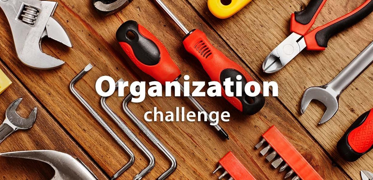 Organization Challenge