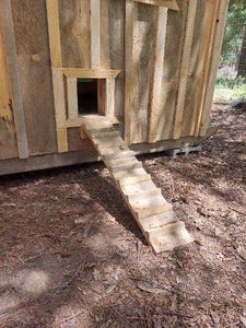 Stairs for People and Hens