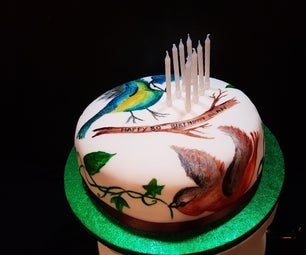Hand Painted Bird Birthday Cake